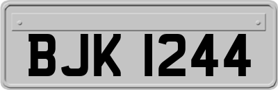 BJK1244