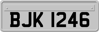 BJK1246