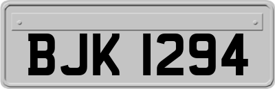 BJK1294
