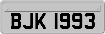 BJK1993