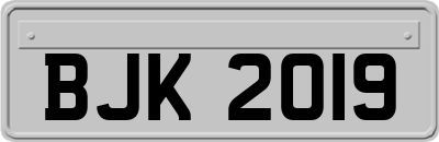 BJK2019