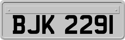 BJK2291