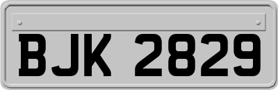 BJK2829