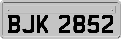 BJK2852