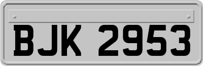 BJK2953