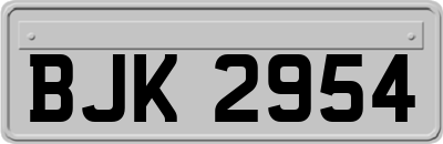 BJK2954