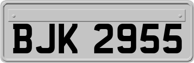 BJK2955