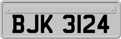 BJK3124