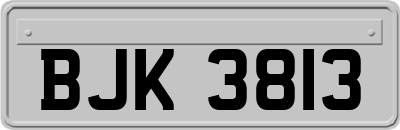 BJK3813