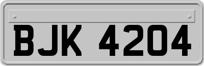 BJK4204