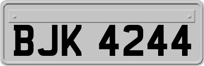 BJK4244