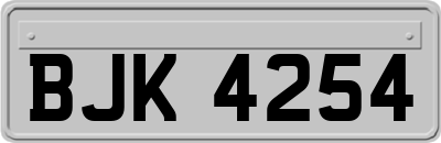 BJK4254