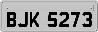 BJK5273