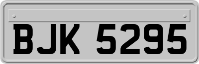 BJK5295