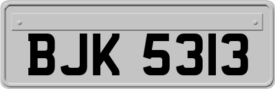 BJK5313