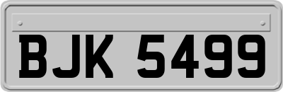 BJK5499