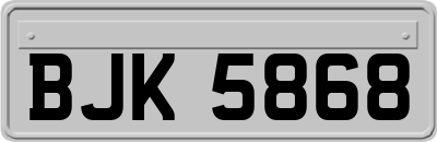 BJK5868