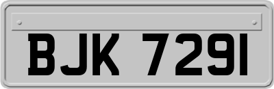 BJK7291