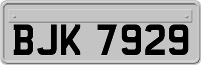 BJK7929