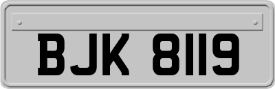 BJK8119