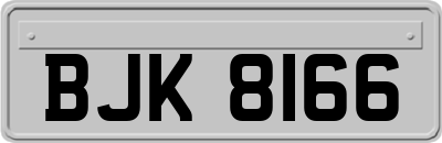 BJK8166