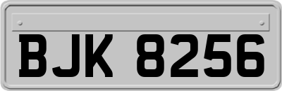 BJK8256