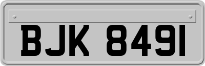 BJK8491