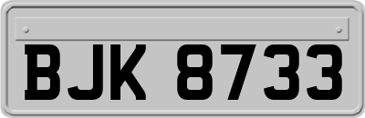 BJK8733