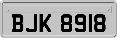 BJK8918