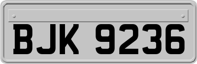 BJK9236