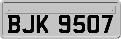 BJK9507