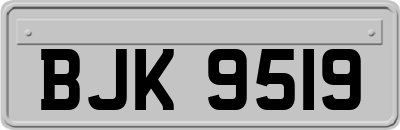 BJK9519
