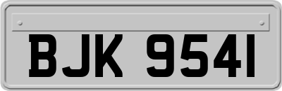 BJK9541