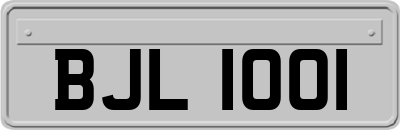 BJL1001