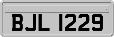 BJL1229