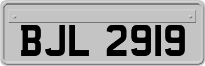 BJL2919