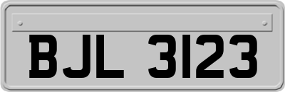 BJL3123