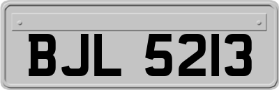 BJL5213