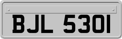 BJL5301