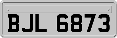 BJL6873