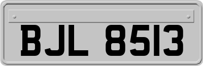 BJL8513