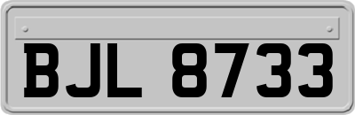 BJL8733
