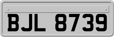 BJL8739