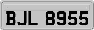 BJL8955
