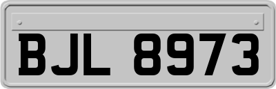 BJL8973