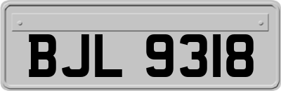 BJL9318