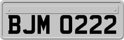 BJM0222