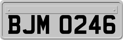 BJM0246