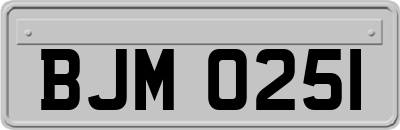 BJM0251