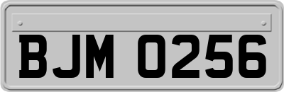 BJM0256